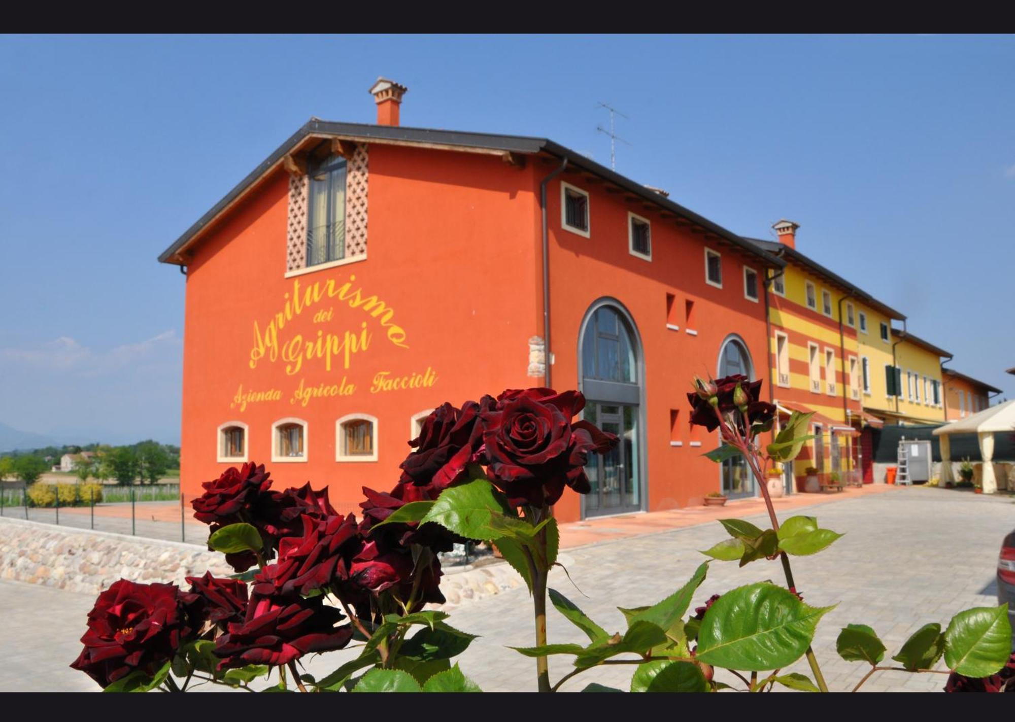 Agriturismo Dei Grippi Sona Bagian luar foto