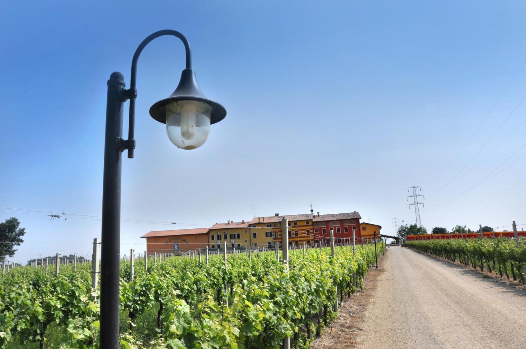Agriturismo Dei Grippi Sona Bagian luar foto